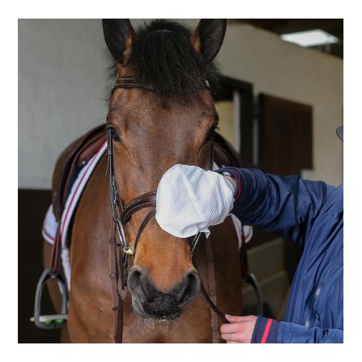 Carr & Day & Martin Tack Cleaner Handschuh