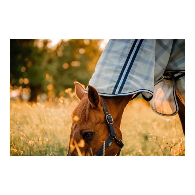 Horseware Couverture anti-mouches Horseware Newmarket Pony Plus