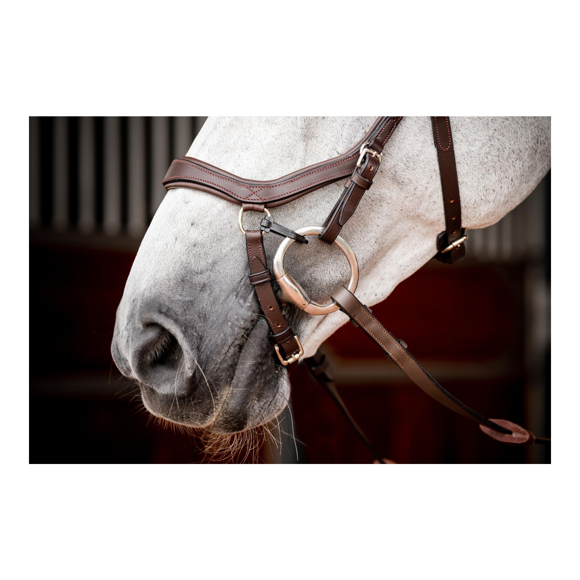 Horseware Bridon Micklem3 Compétition sans rênes