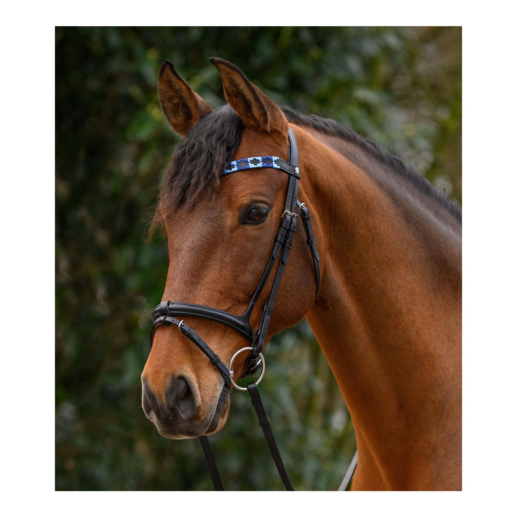 Waldhausen Stirnband Polo X-Line