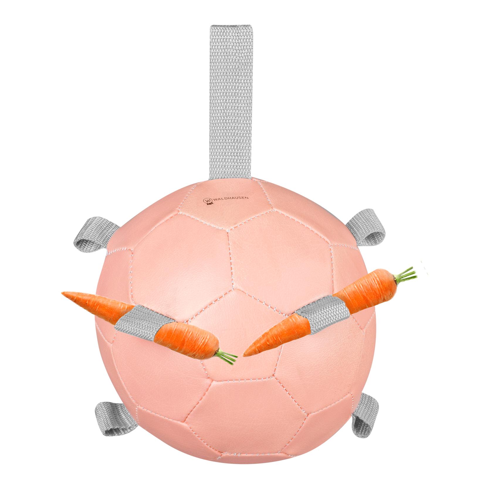 Waldhausen Karottenball