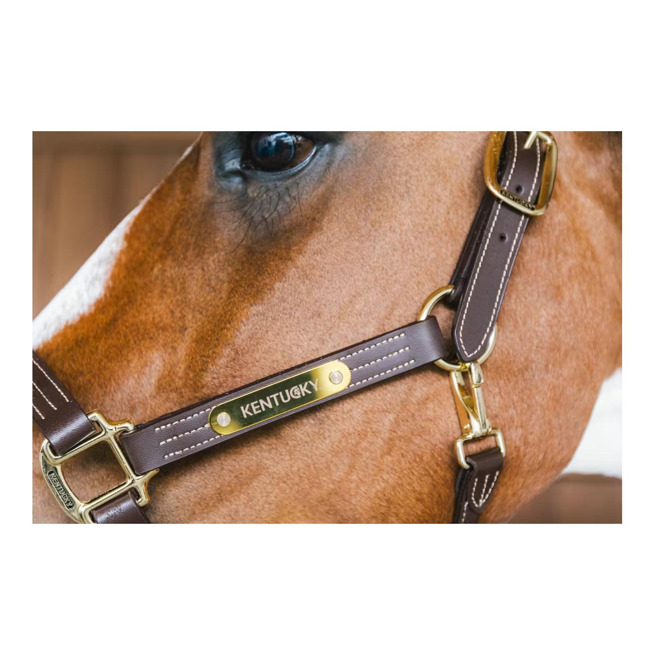 Kentucky Holster en cuir Wellington