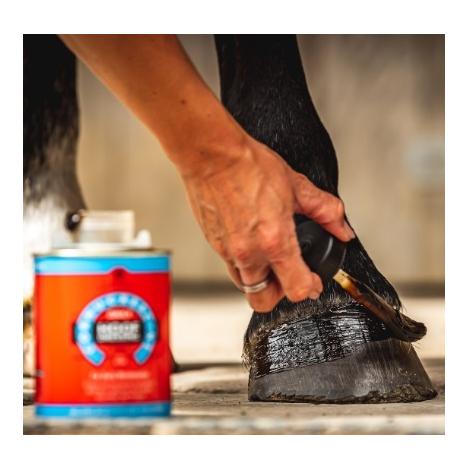 Carr & Day & Martin Cornucrescine Daily Hoof Dressing