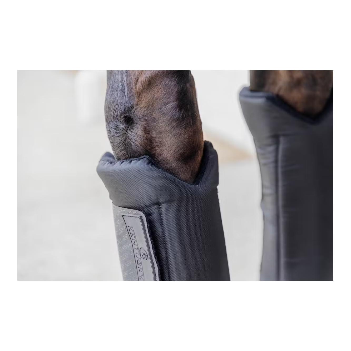 Kentucky Stallgamaschen PROtect classic vorne