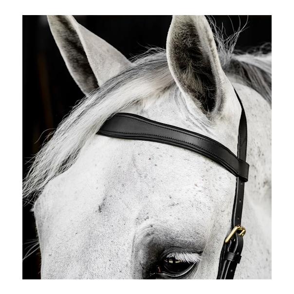 Horseware Zaum Micklem Multi