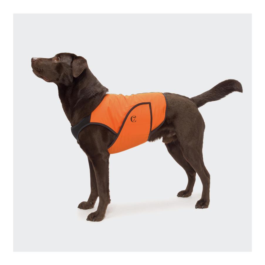 Cloud 7 Gilet de refroidissement pour chiens Iceland