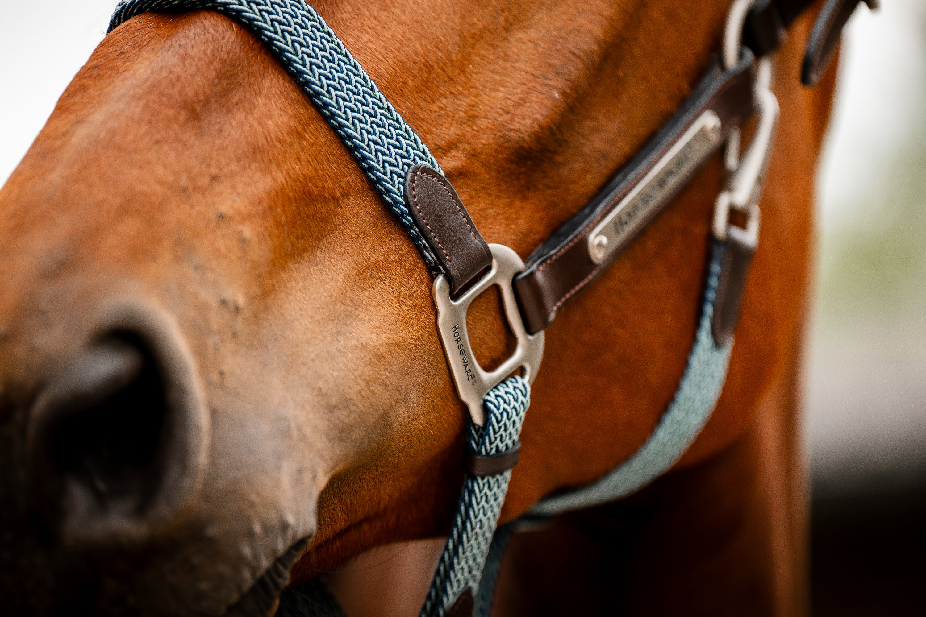 Horseware Halfter Signature Braided