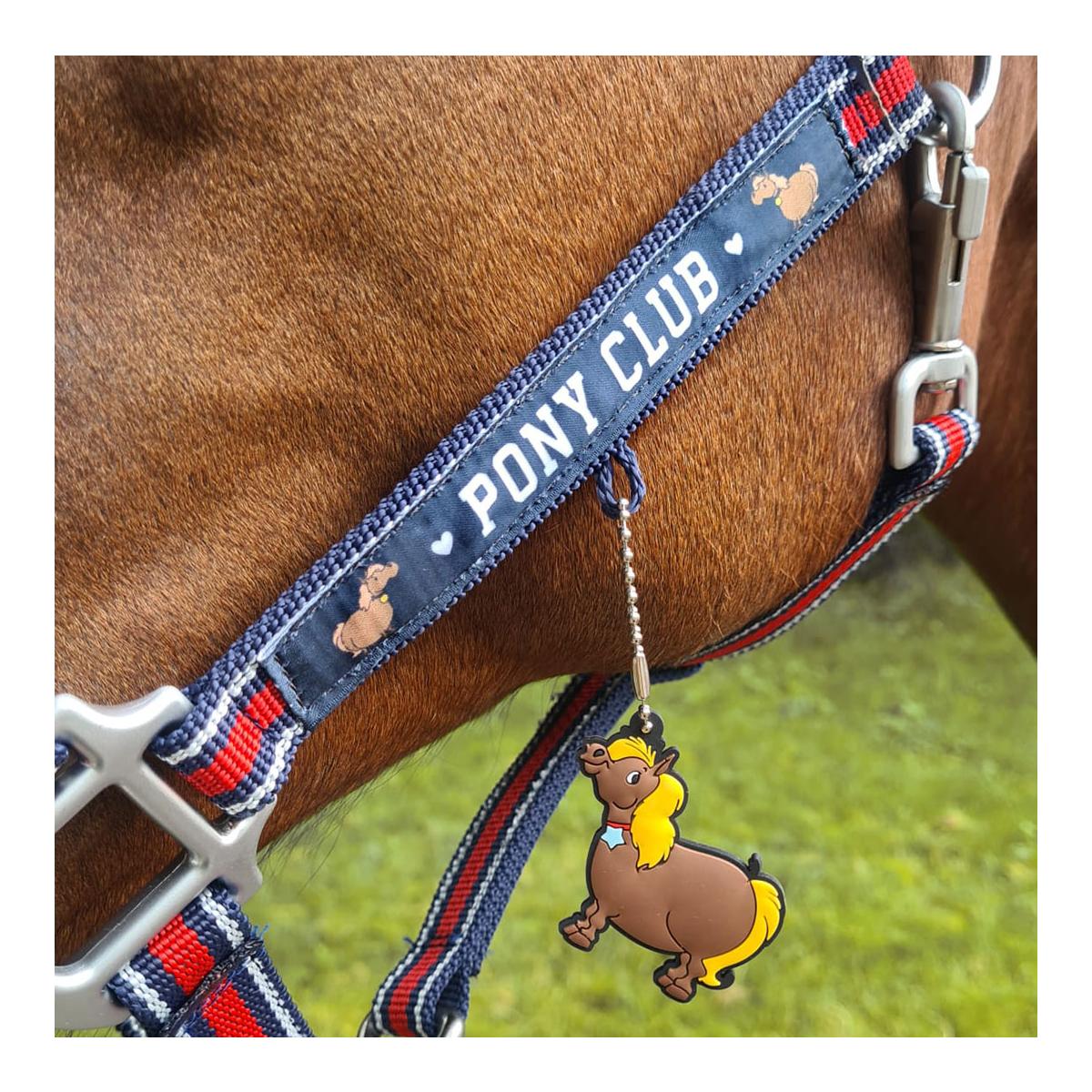 Soulhorse Halfter Dual Alu "Pony Club"