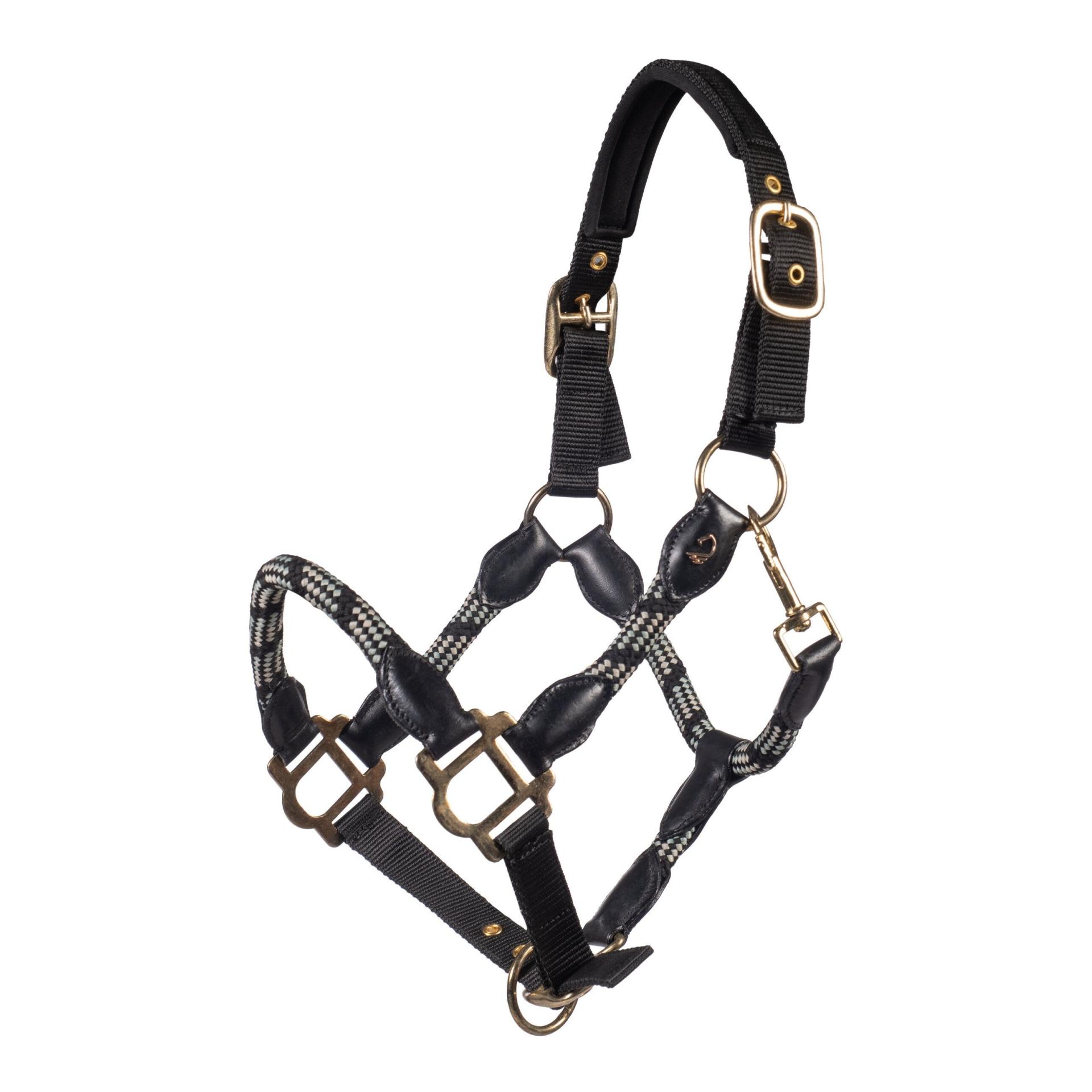 HKM Licol Limone Sportive