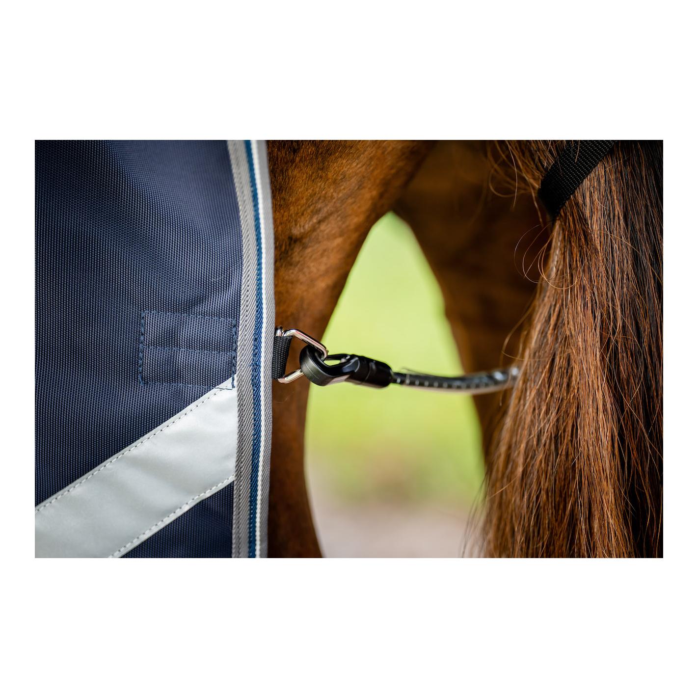 Horseware Weidedecke Rambo 1680D Turnout 50g