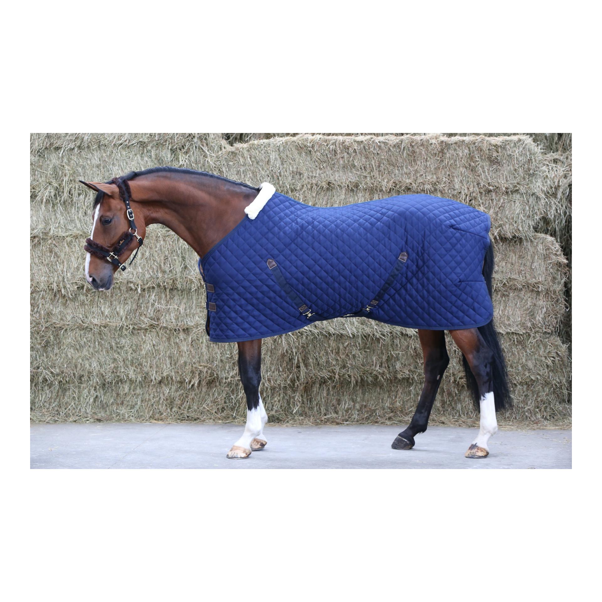 Kentucky Stalldecke 400g - marine