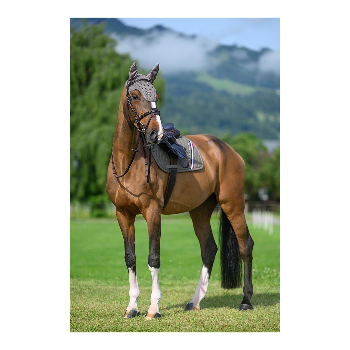 Tommy Hilfiger Equestrian Chabraque de saut d'obstacles Stanford