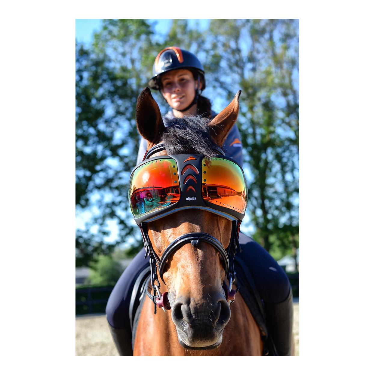 eQuick eVysor : protection oculaire pour chevaux avec protection anti-UV