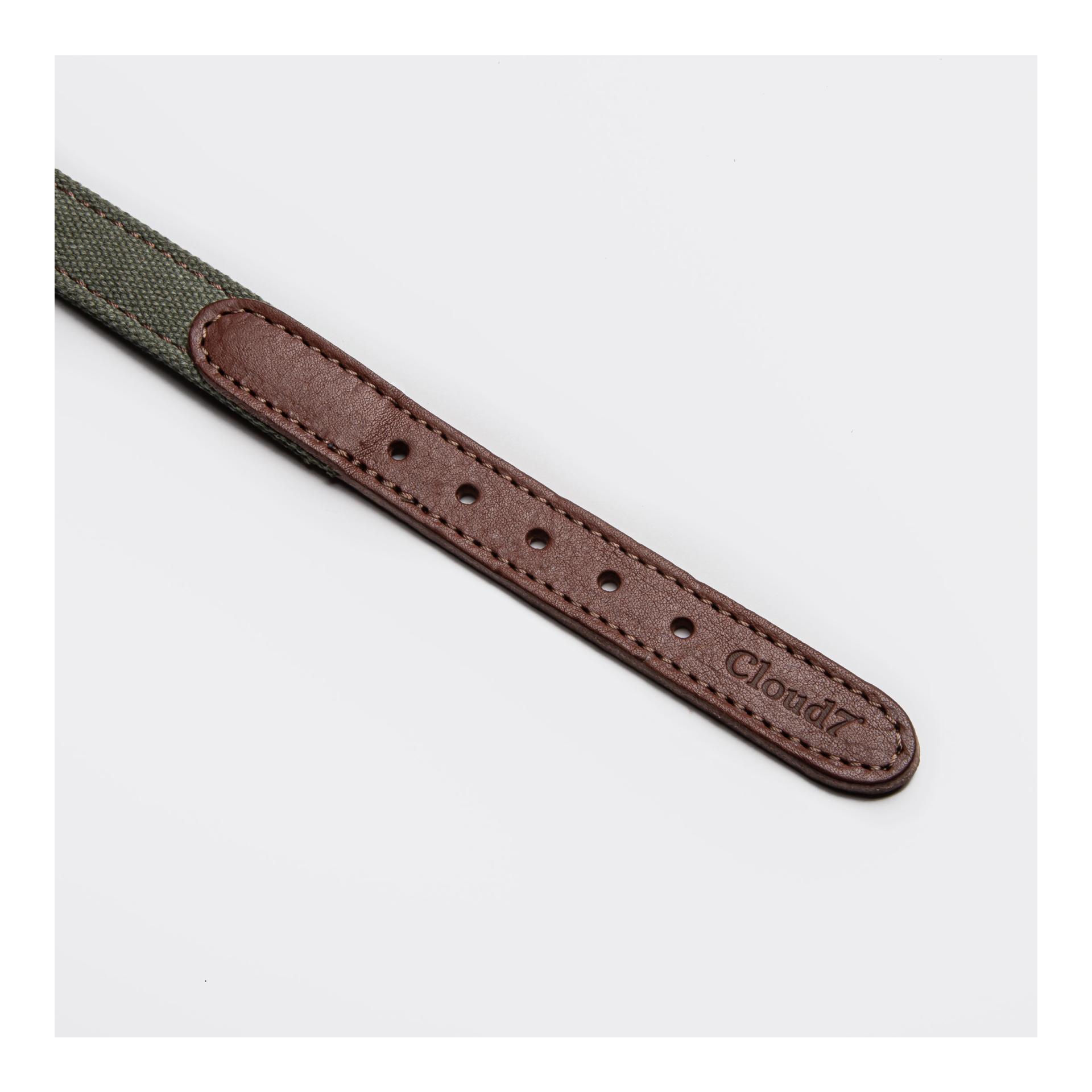 Cloud 7 Collier pour chien Tivoli - olive