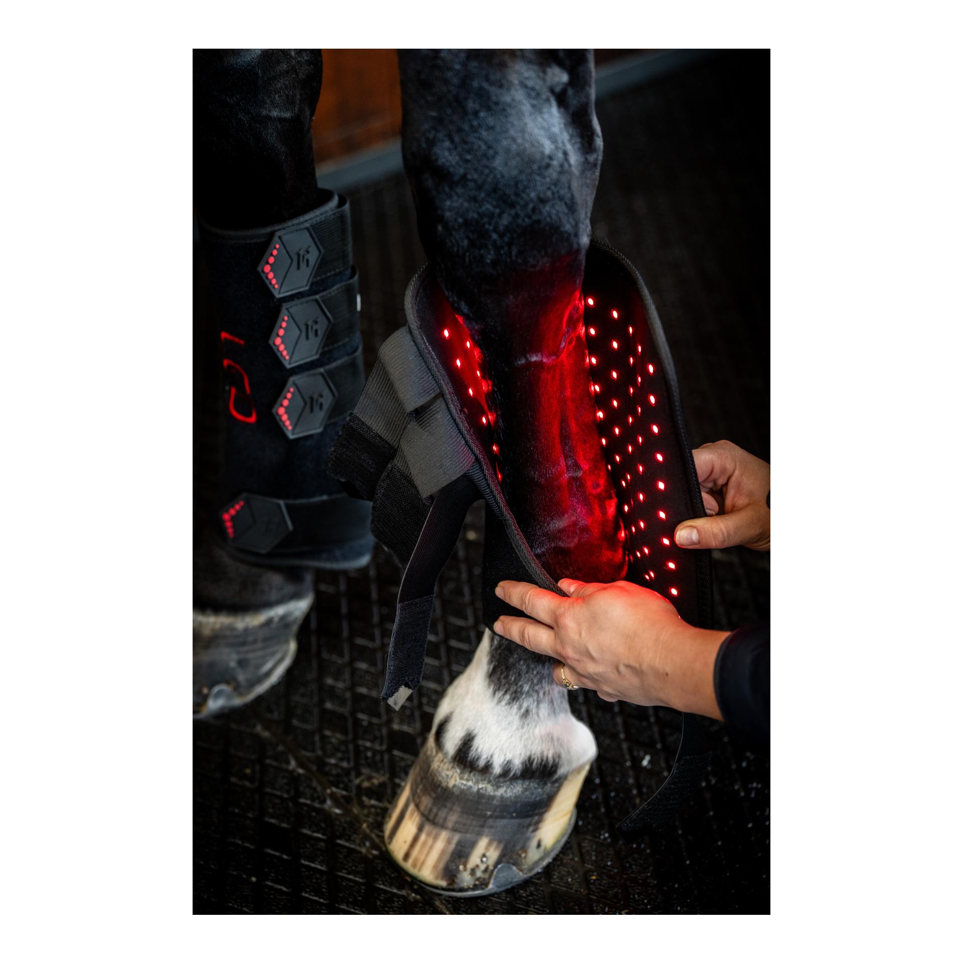 Horseware Horseware LED Red Light Therapy
Leg Wraps Pair