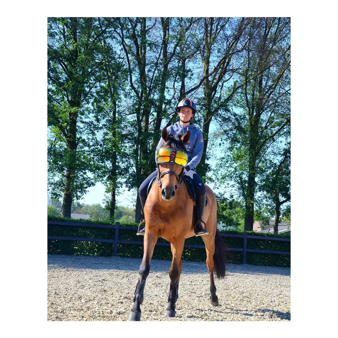 eQuick eVysor : protection oculaire pour chevaux avec protection anti-UV