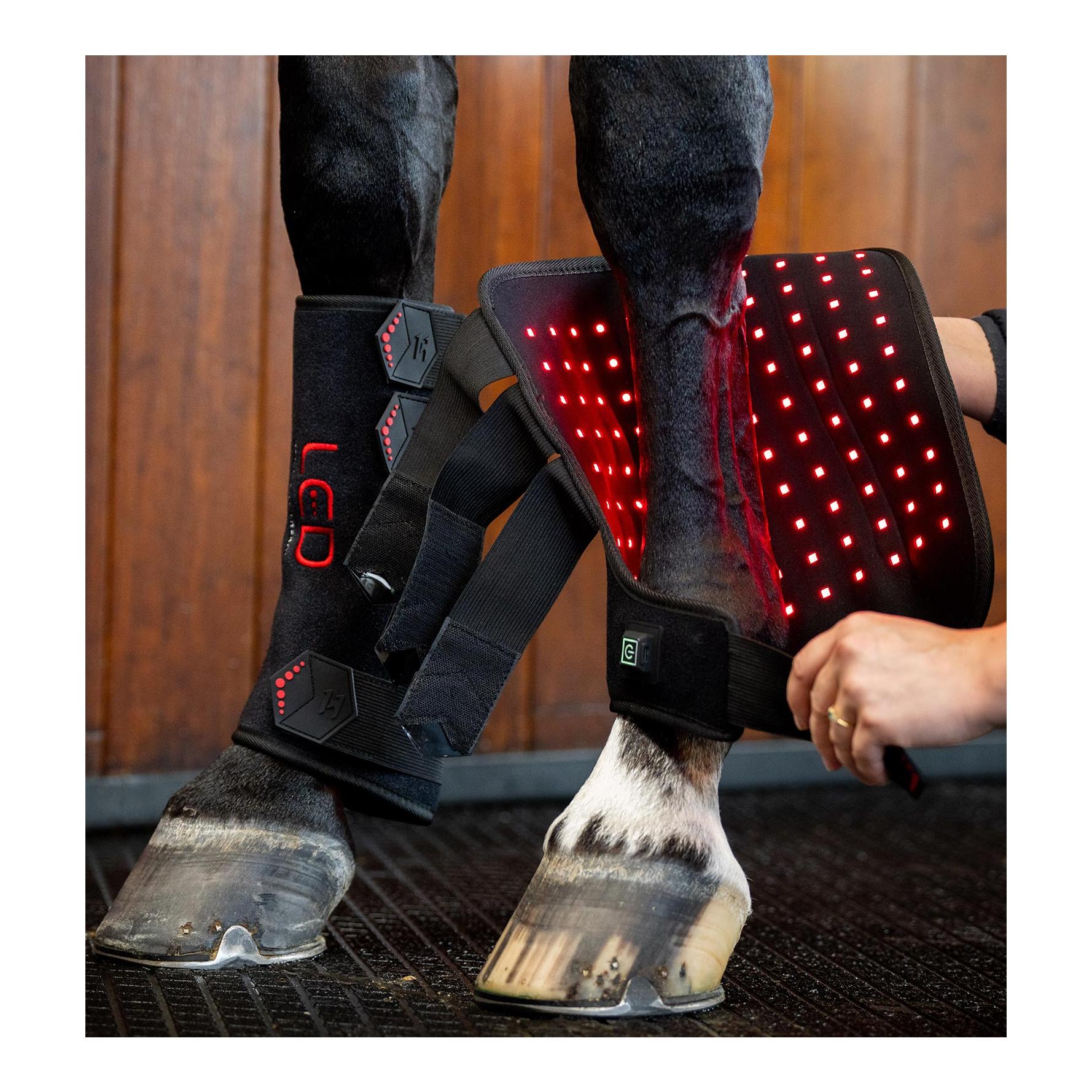 Horseware Therapie Gamasche LED LED-Rotlicht - Full