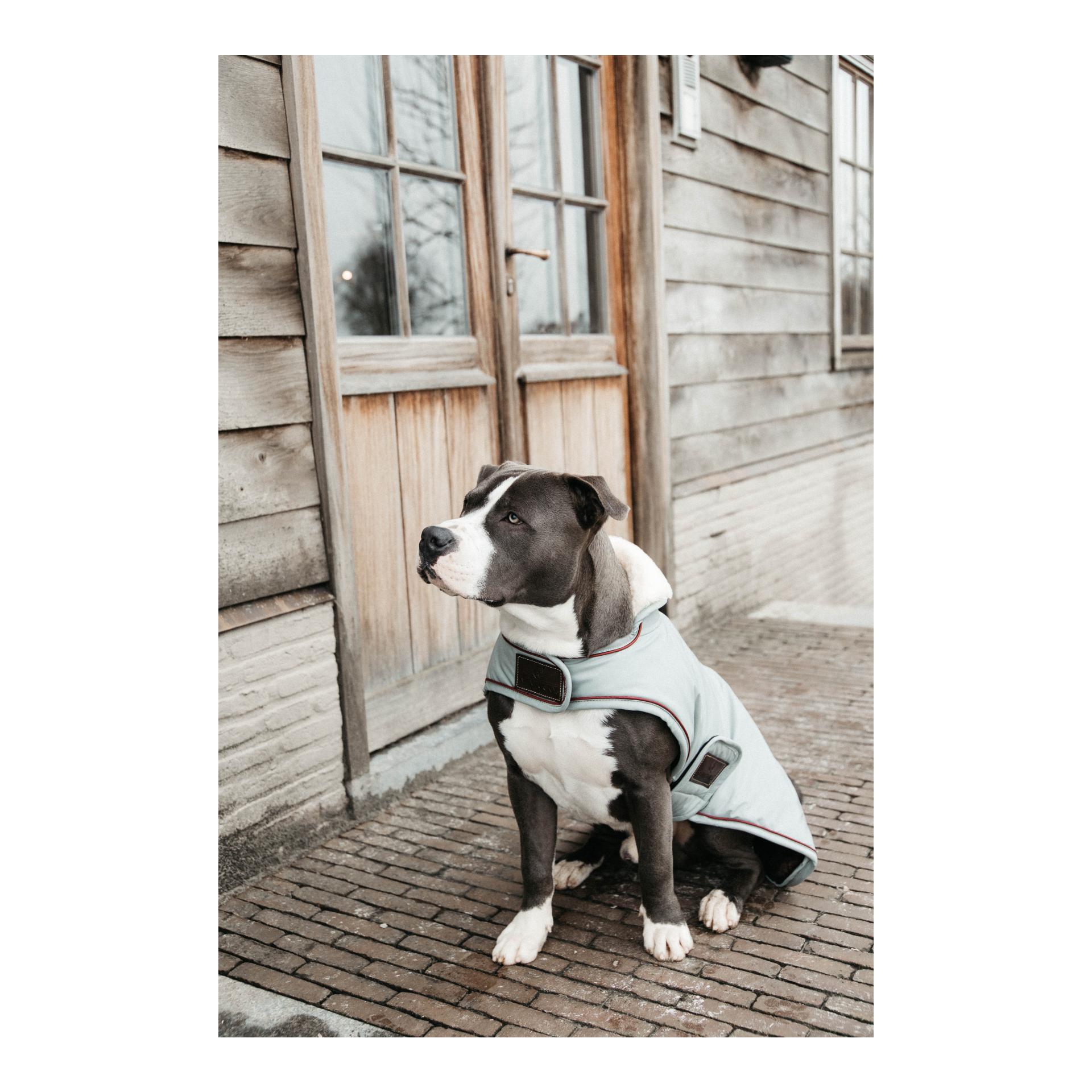 Kentucky Dogwear Hundemantel Wasserdicht 160g - Dusty Blue