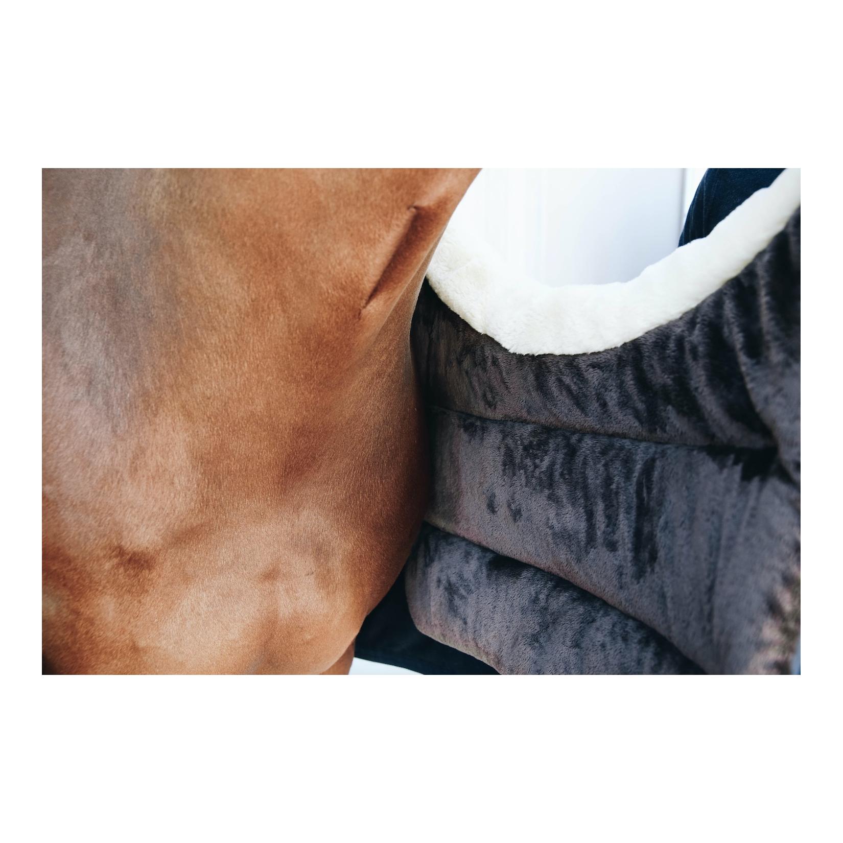 Kentucky Horse BIB Winter Decken-Brustschutz - navy