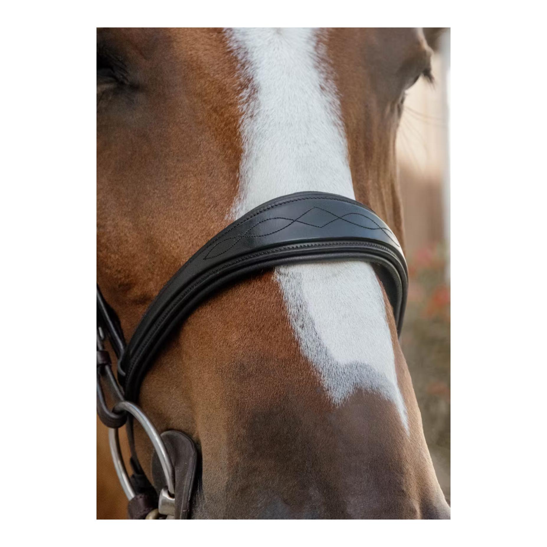 Dy'on Anatomic noseband without flash
