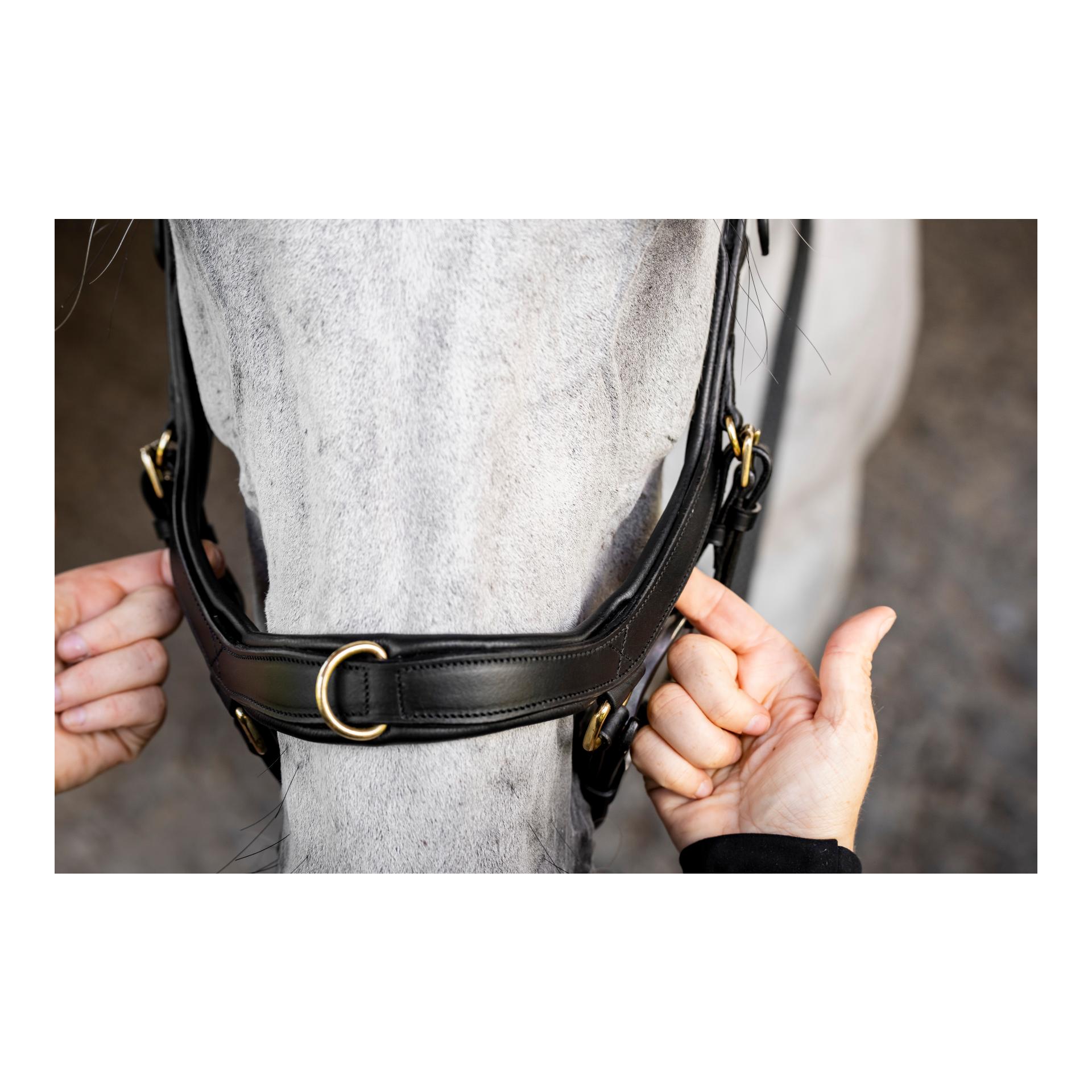 Horseware Bridon Micklem Multi