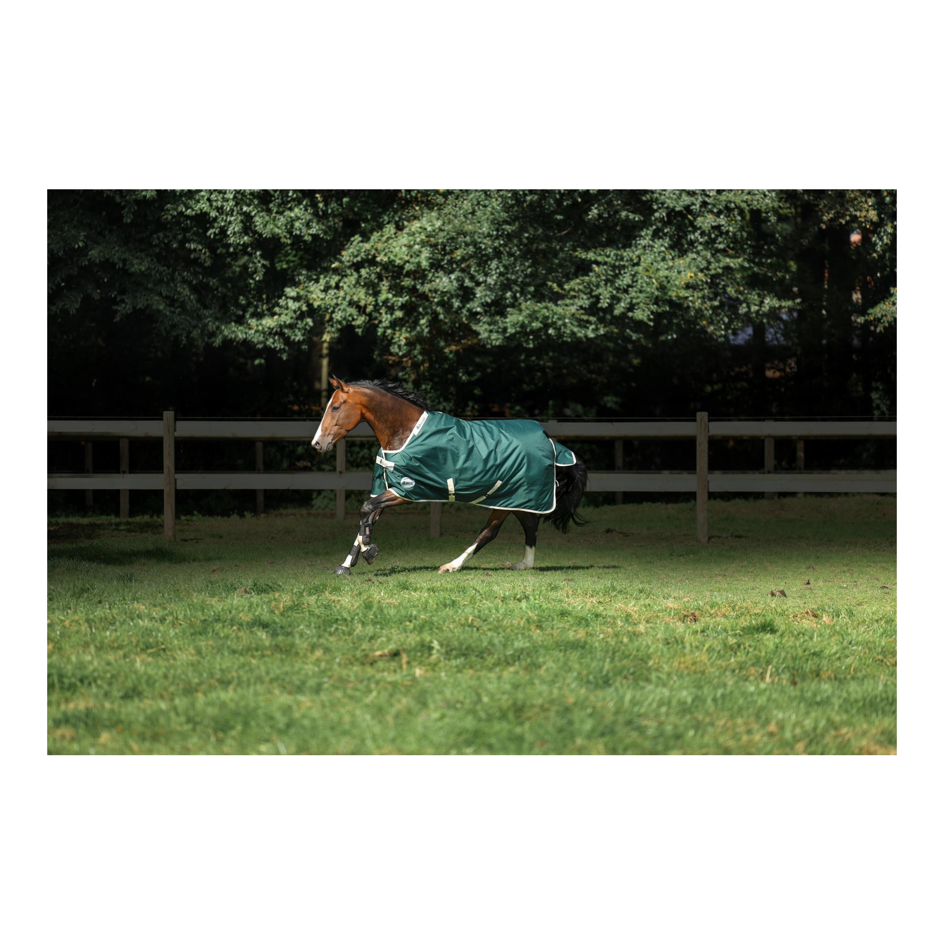 Bucas Couverture de paddock Green-Line Turnout 100 g - vert