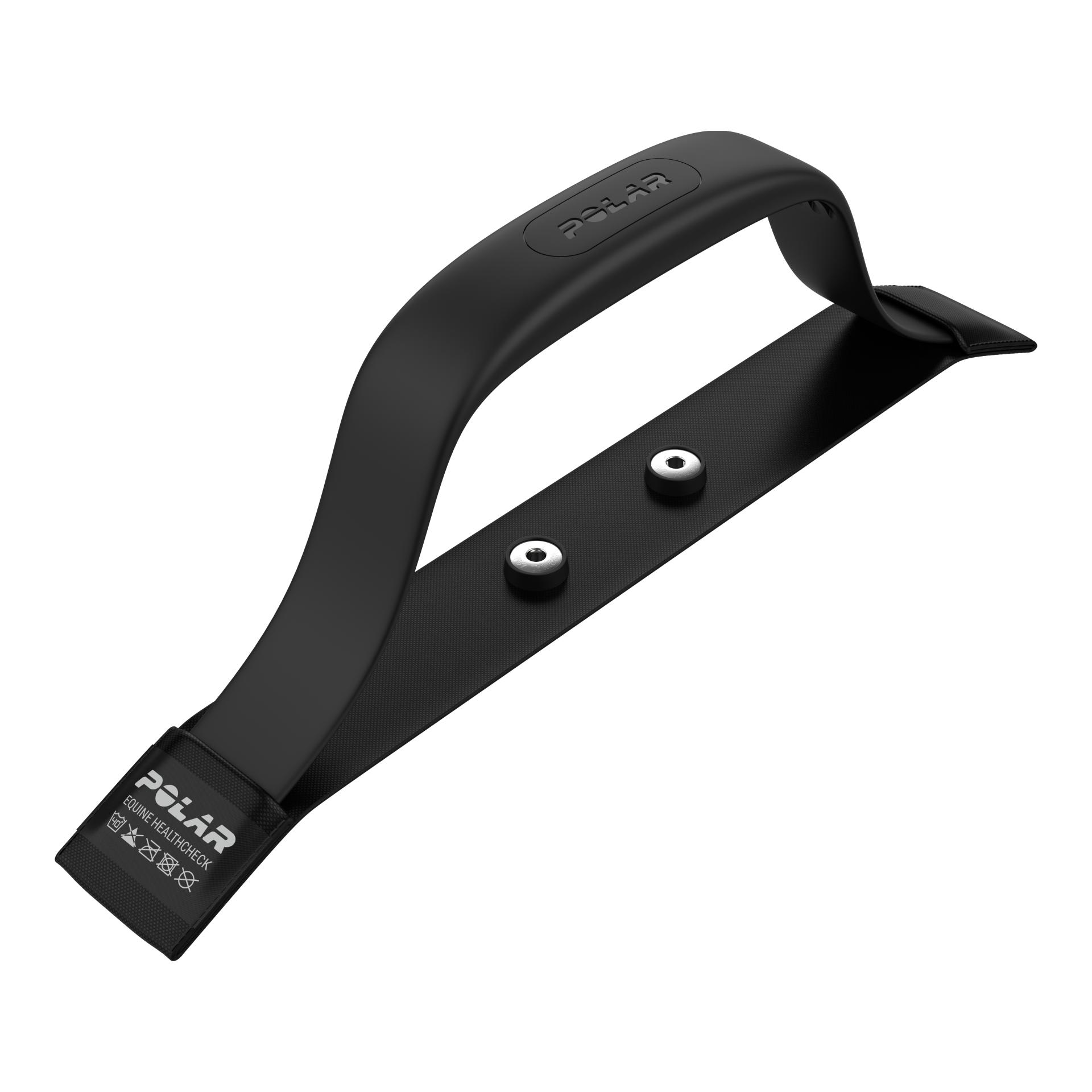 Polar Equine Healthcheck H10