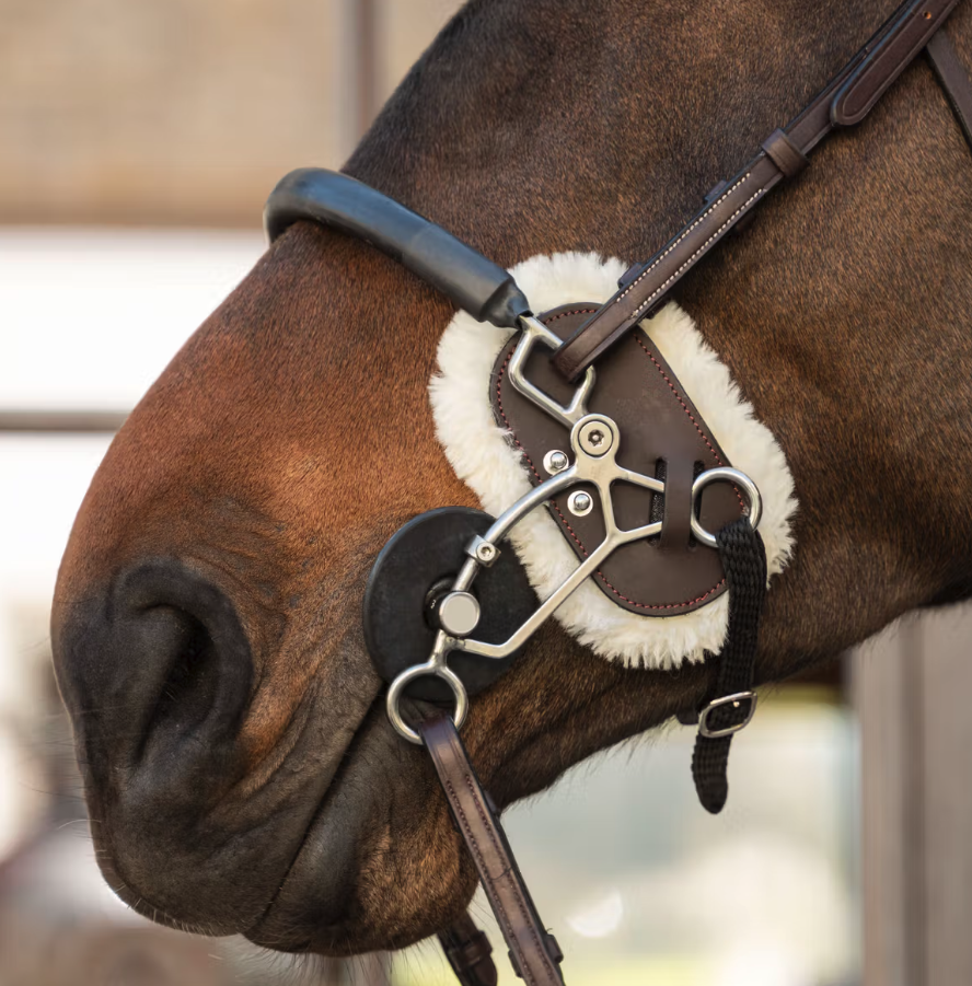 Dy'on Hackamore Schutz Lammfell