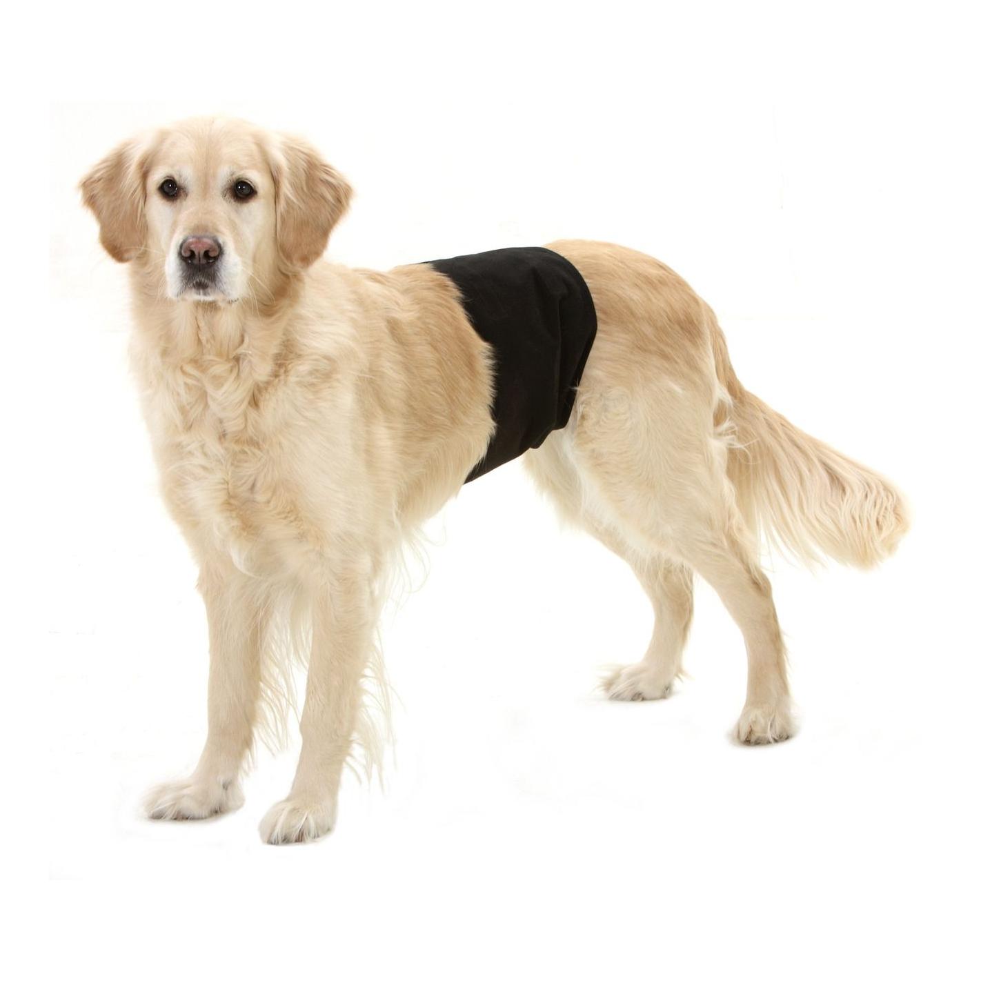 TRIXIE Pantalon de protection pour chien mâle