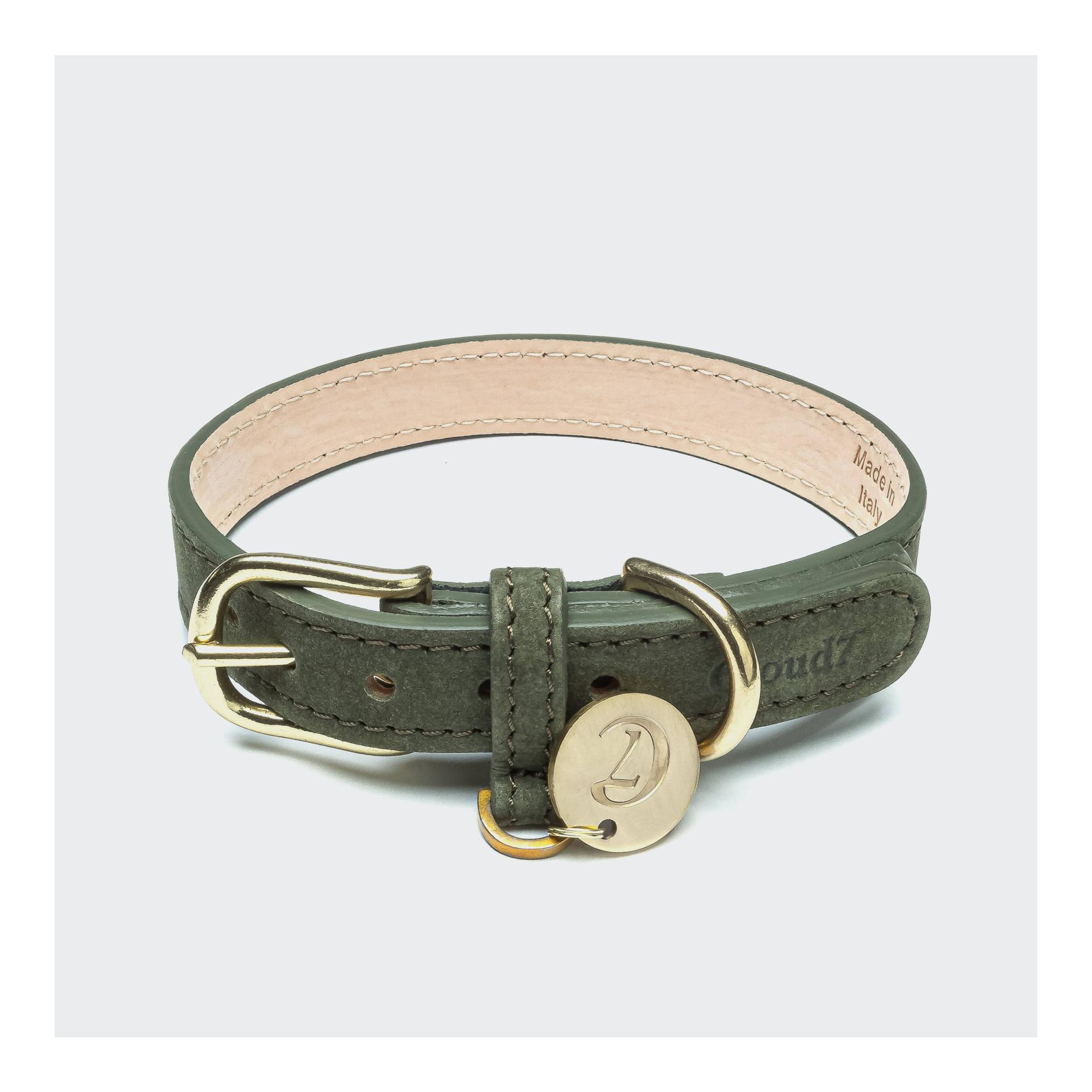 Collier de chien Tiergarten - Moss