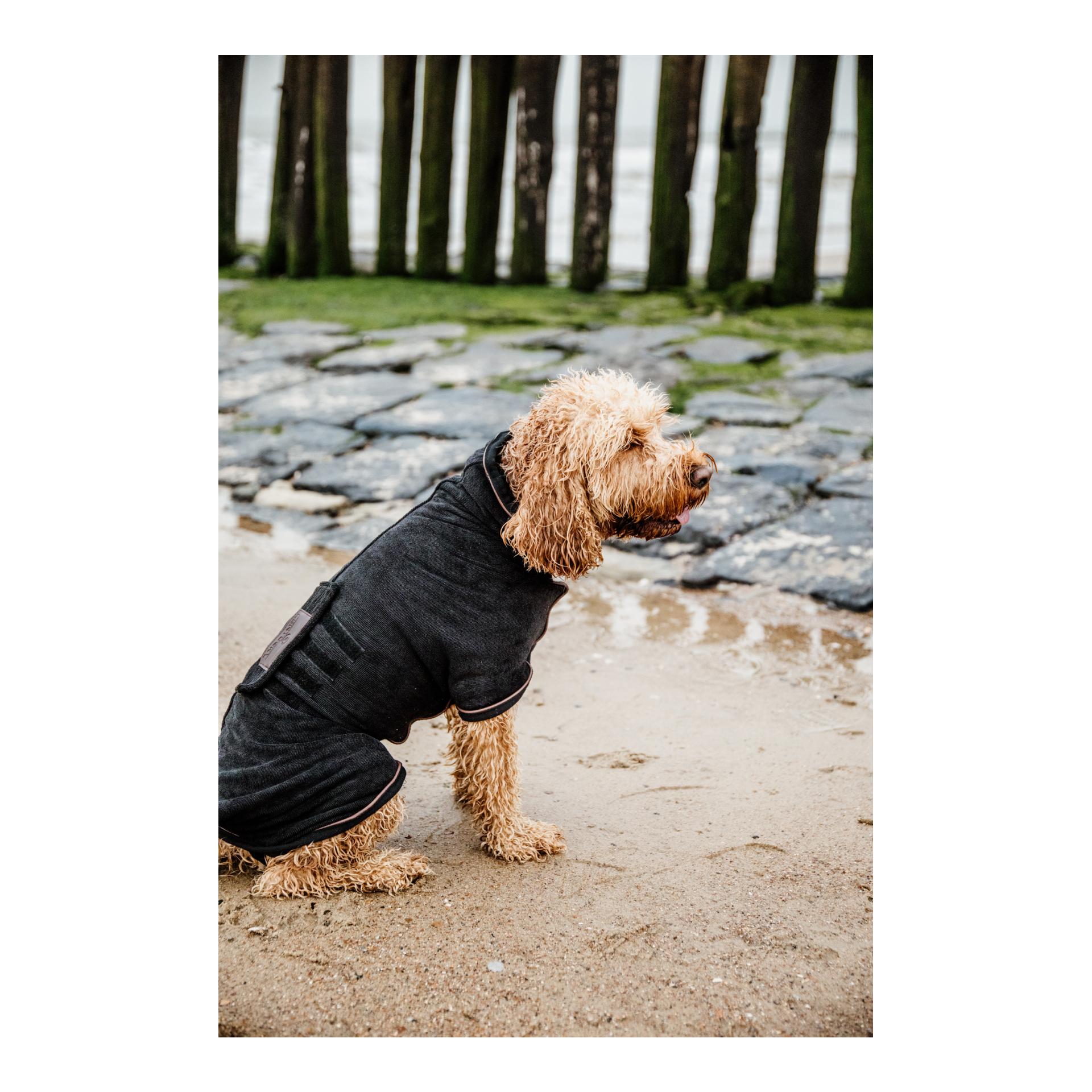 Kentucky Dogwear Manteau pour chien Dog Coat Towel