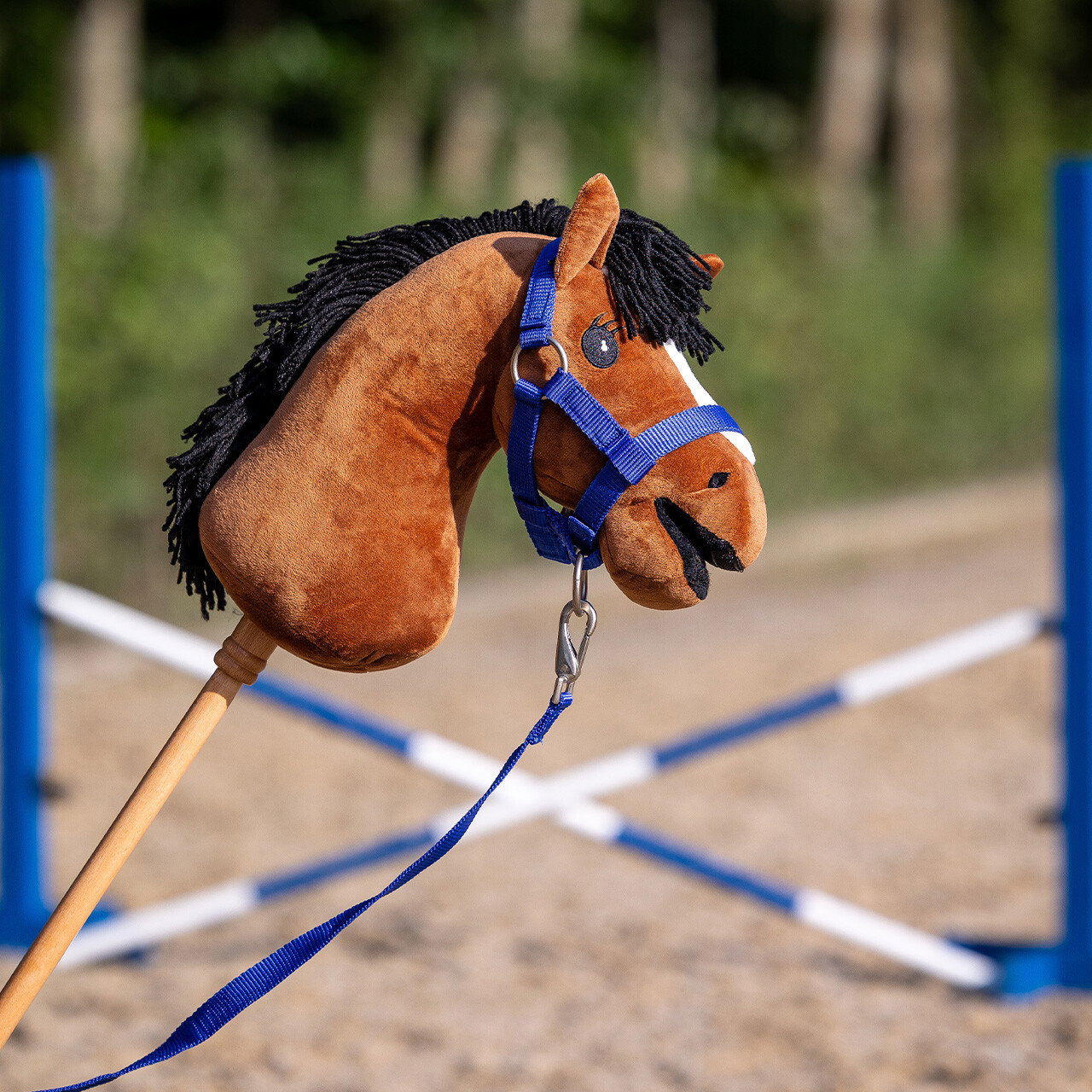 QHP Halfter Set Hobby Horse
