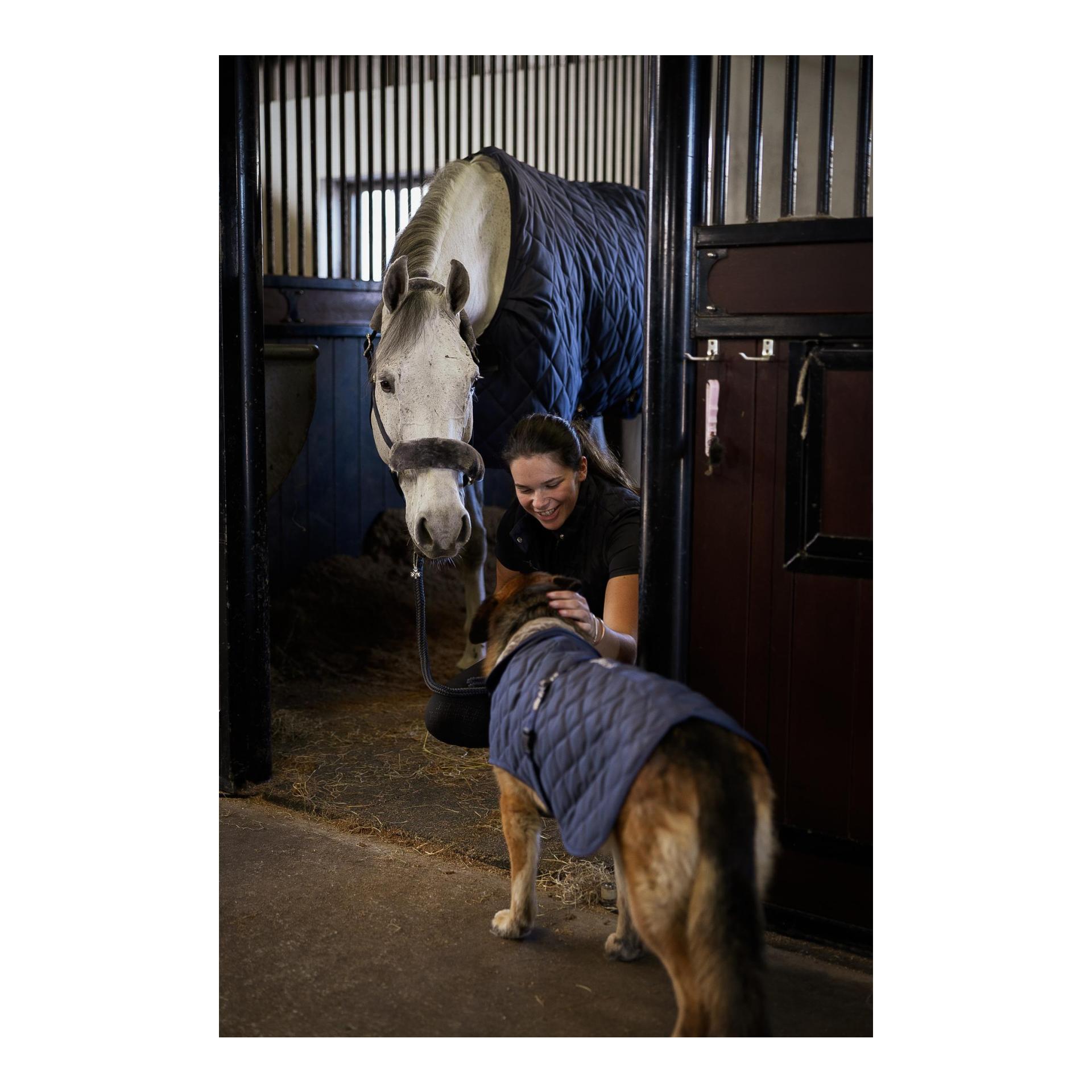 Bucas Stalldecke Freedom Cosy
