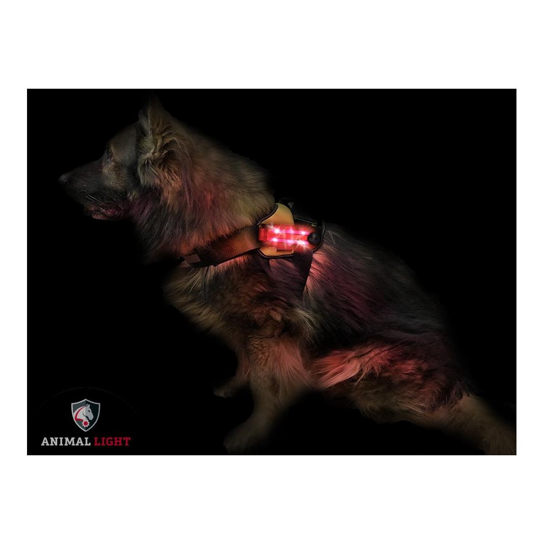 Animal Light Harnais lumineux pour chien "Flex" - rouge