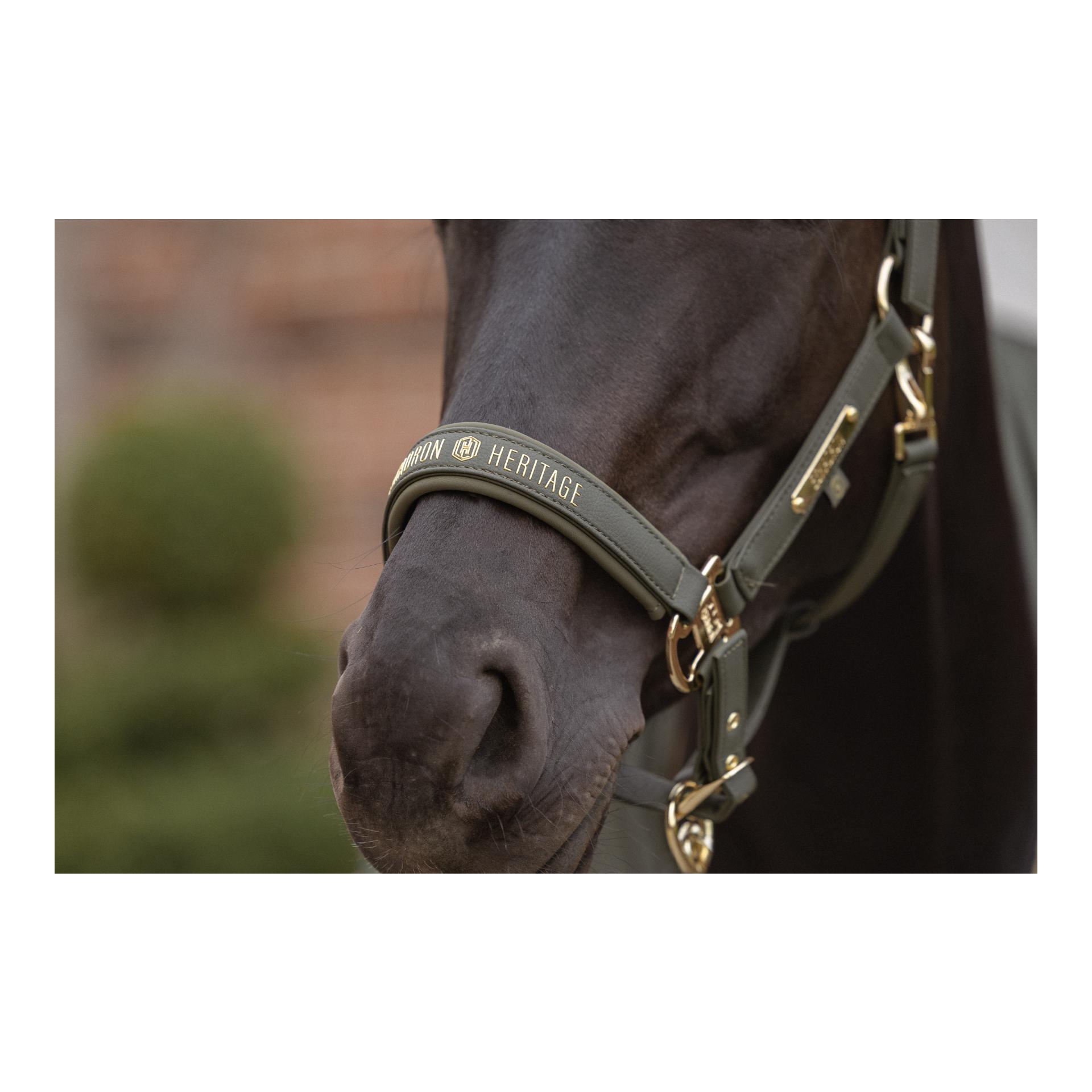 Eskadron Halfter Double Pin FAUX LEATHER Heritage 26/27