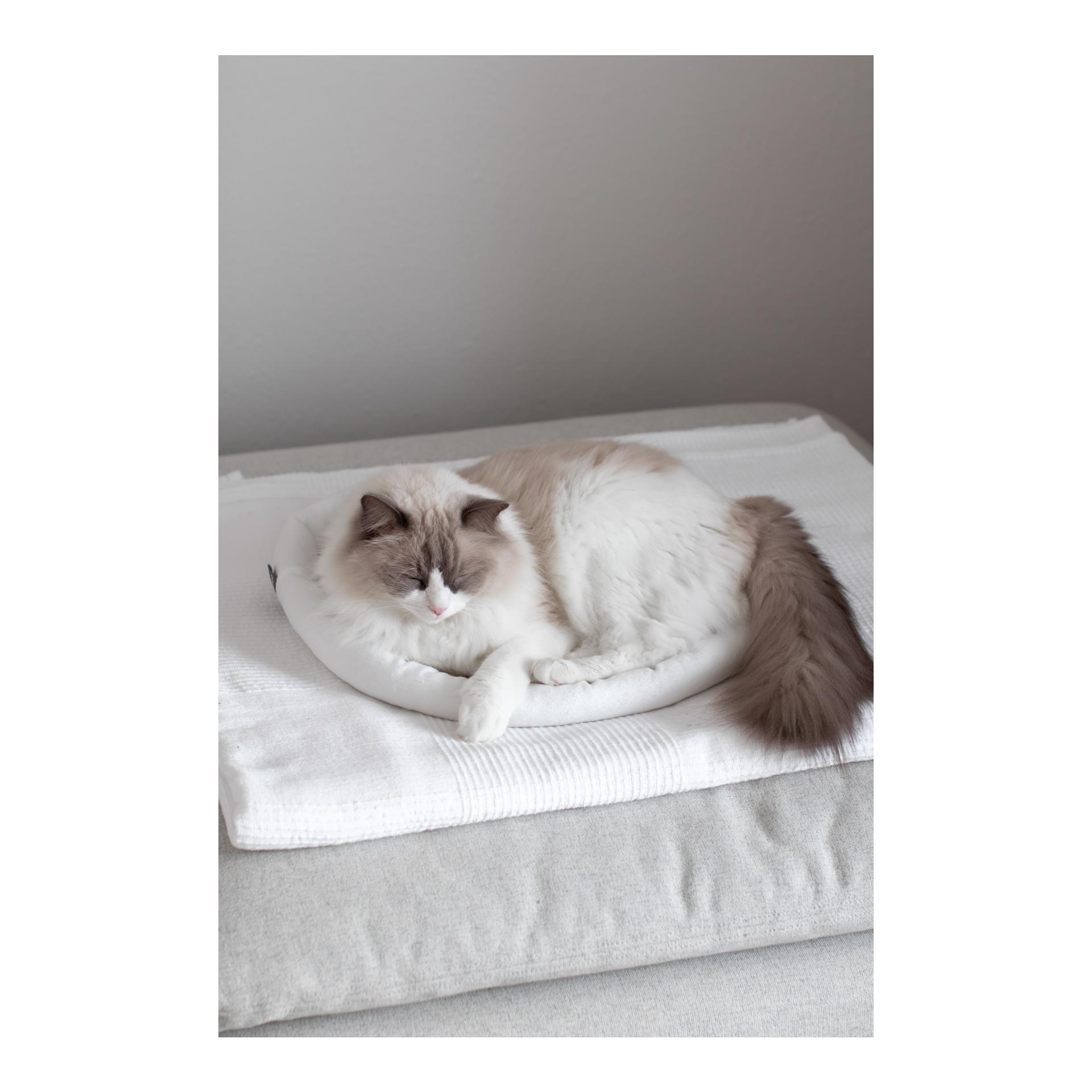 Kerbl Pet Lit douillet Sweety - beige/nude