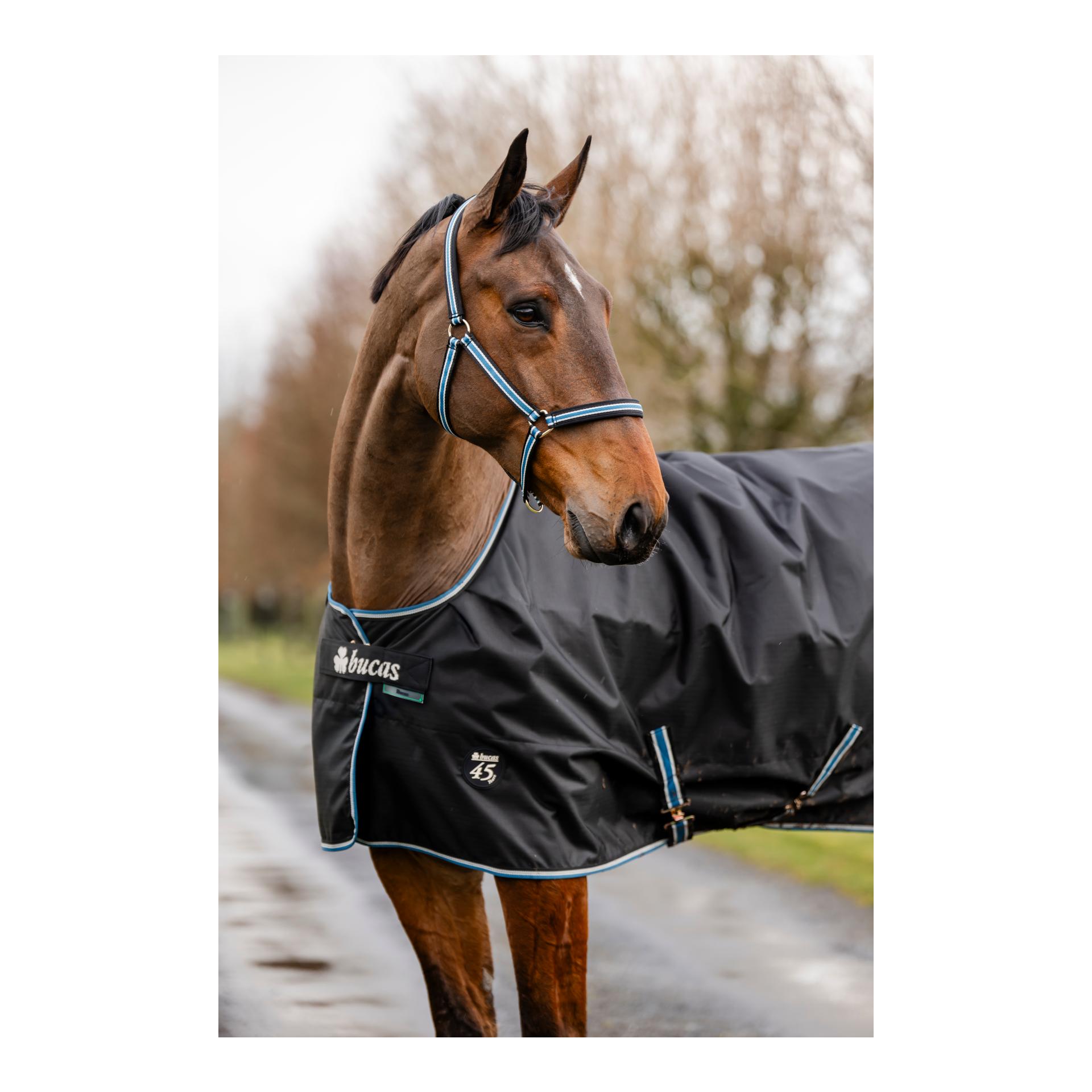 Bucas Couverture d'extérieur Anniversary Turnout 150g SD