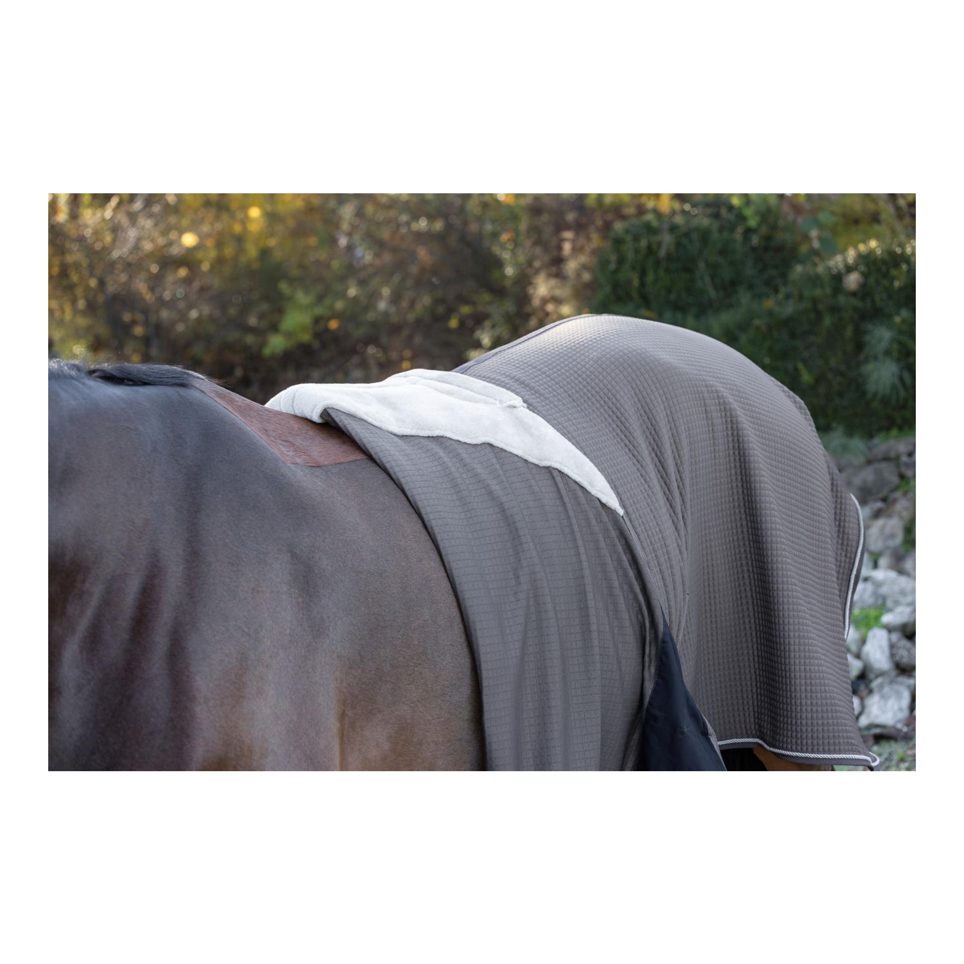Covalliero Abschwitzdecke Premium H/W 2026