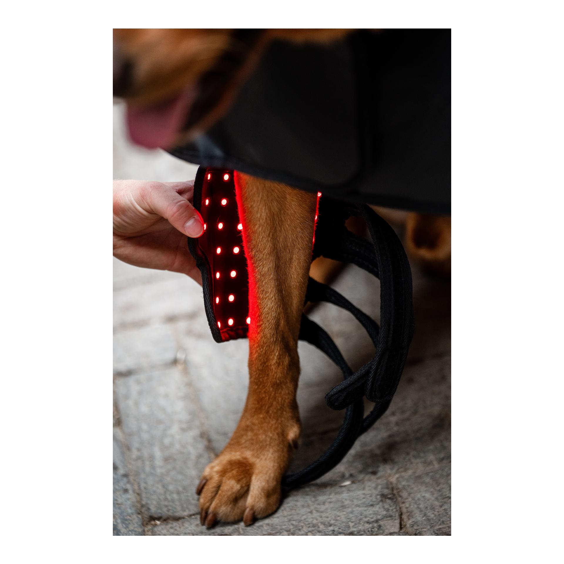 Horseware Horseware LED Red Light Therapy
Pet Leg Wraps Pair
