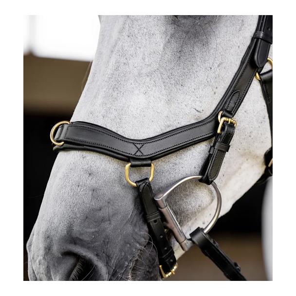 Horseware Zaum Micklem Multi