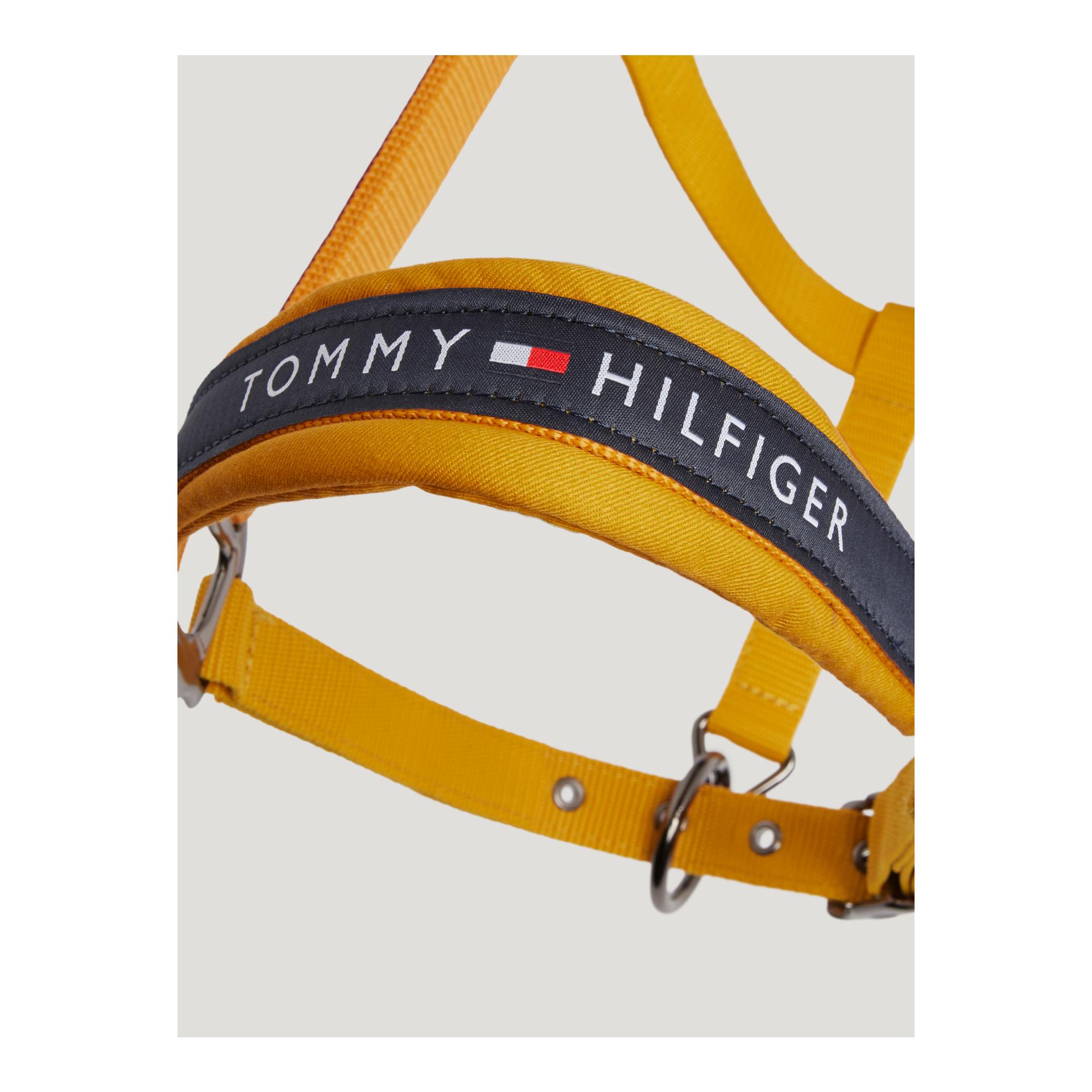 Tommy Hilfiger Equestrian 11x Ensemble licol et longe Yale