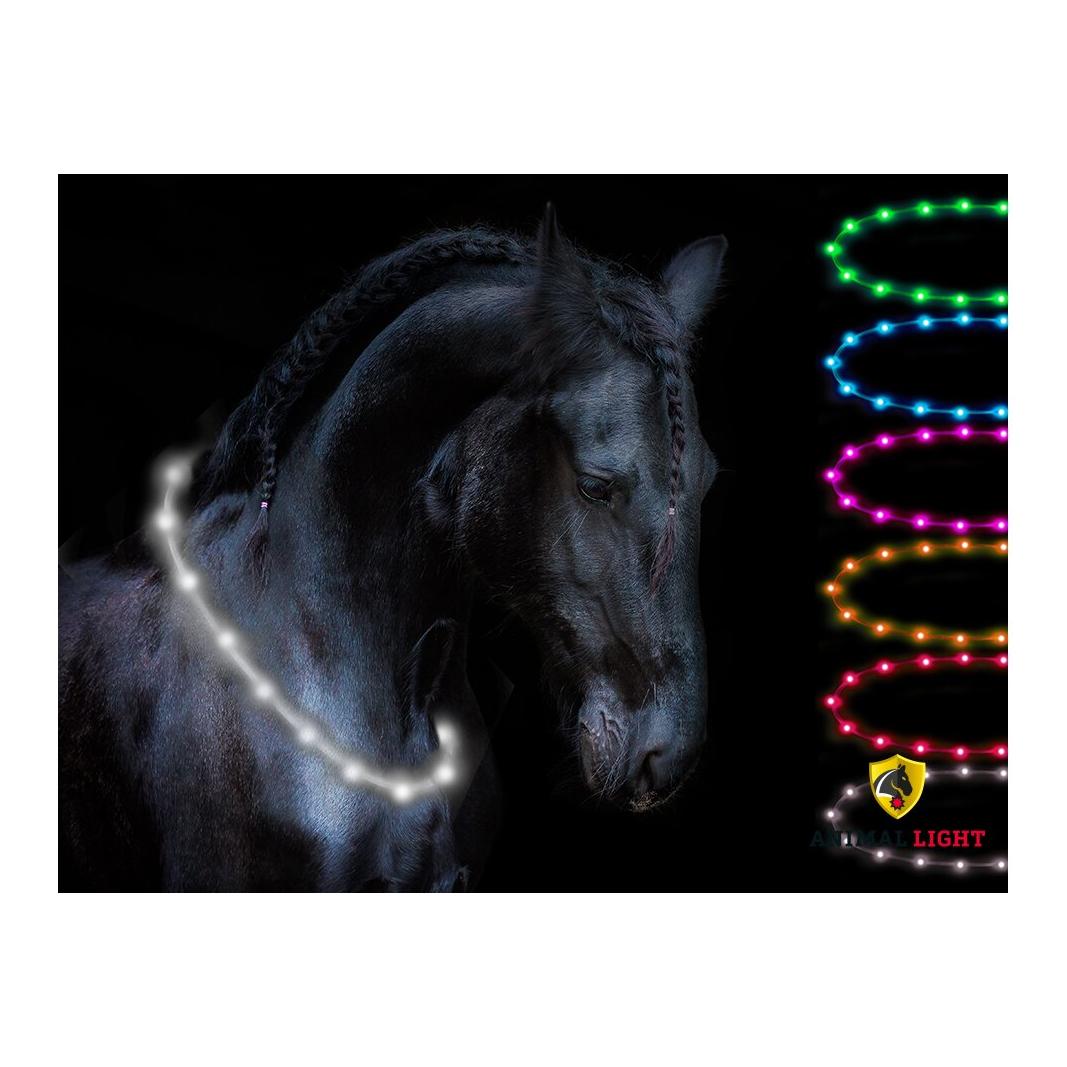 Animal Light Leucht-Halsriemen Flex