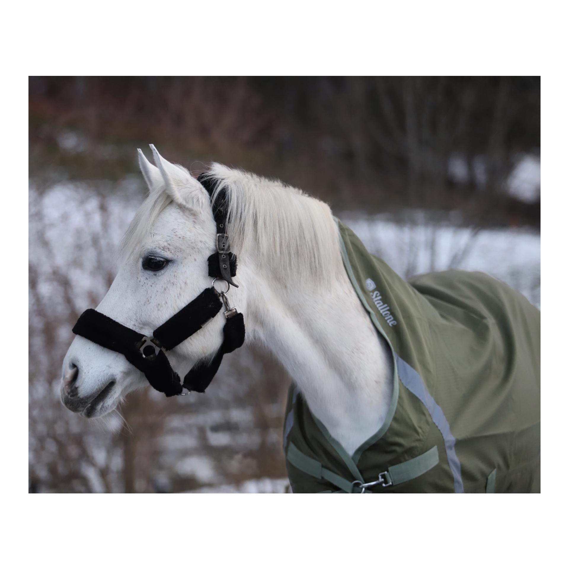 Stallone Regendecke Outdoor Guard High Neck