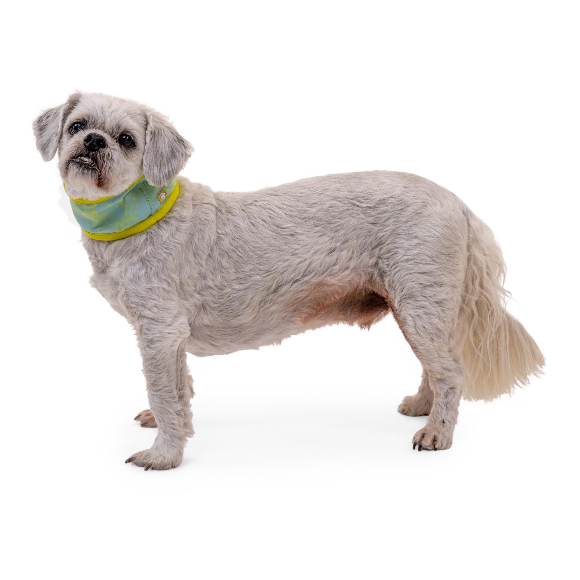 Ruffwear Foulard Swamp Cooler Zip™