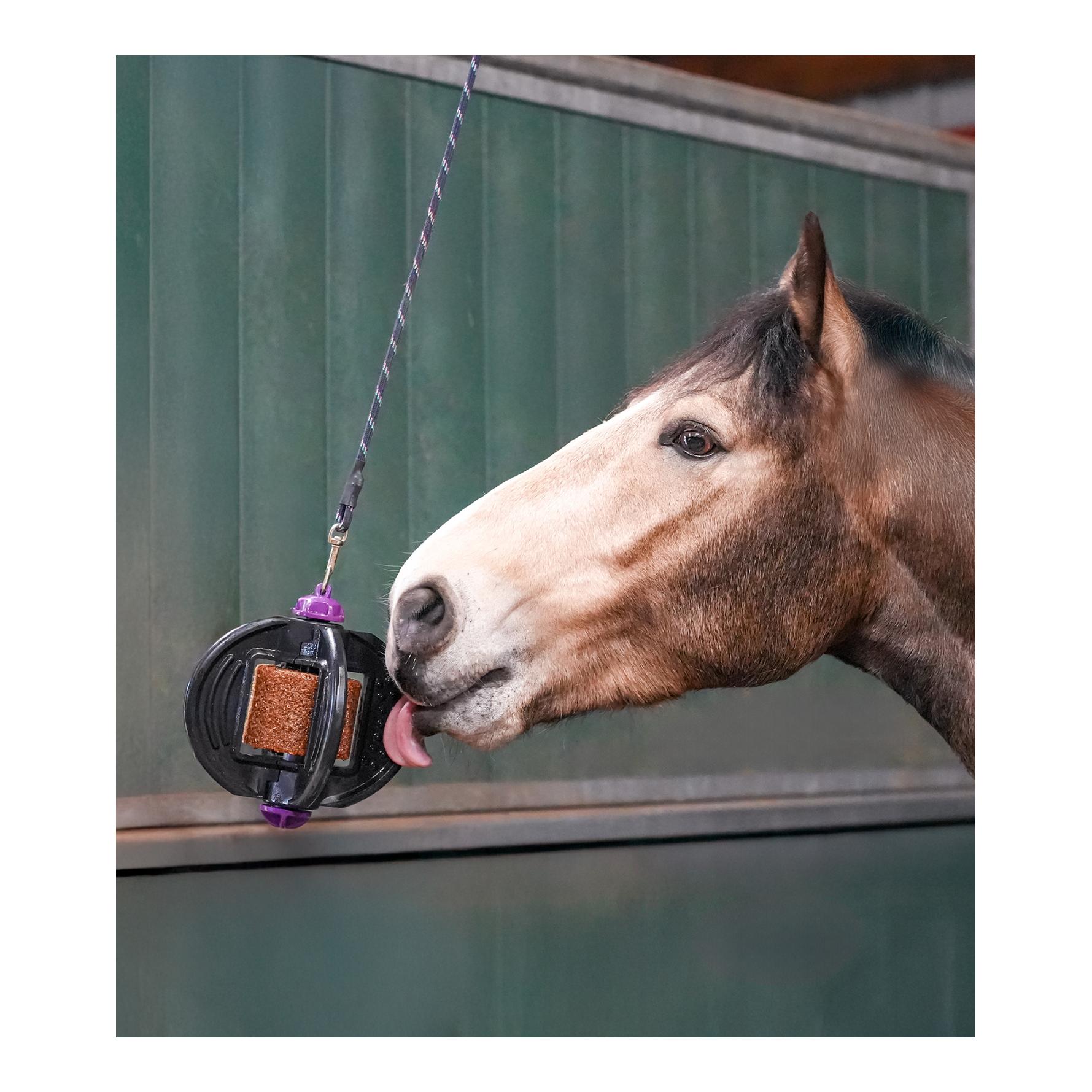 Bizzy Horse Bizzy Ball - pink