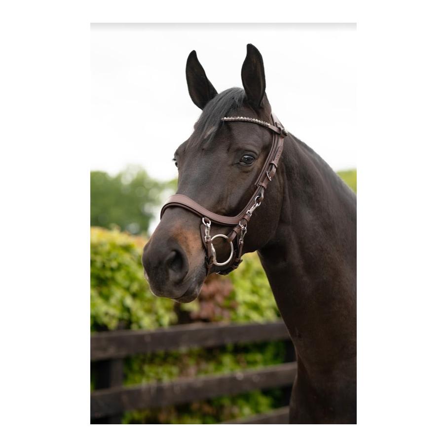 PresTeq Bride FaySport – brun