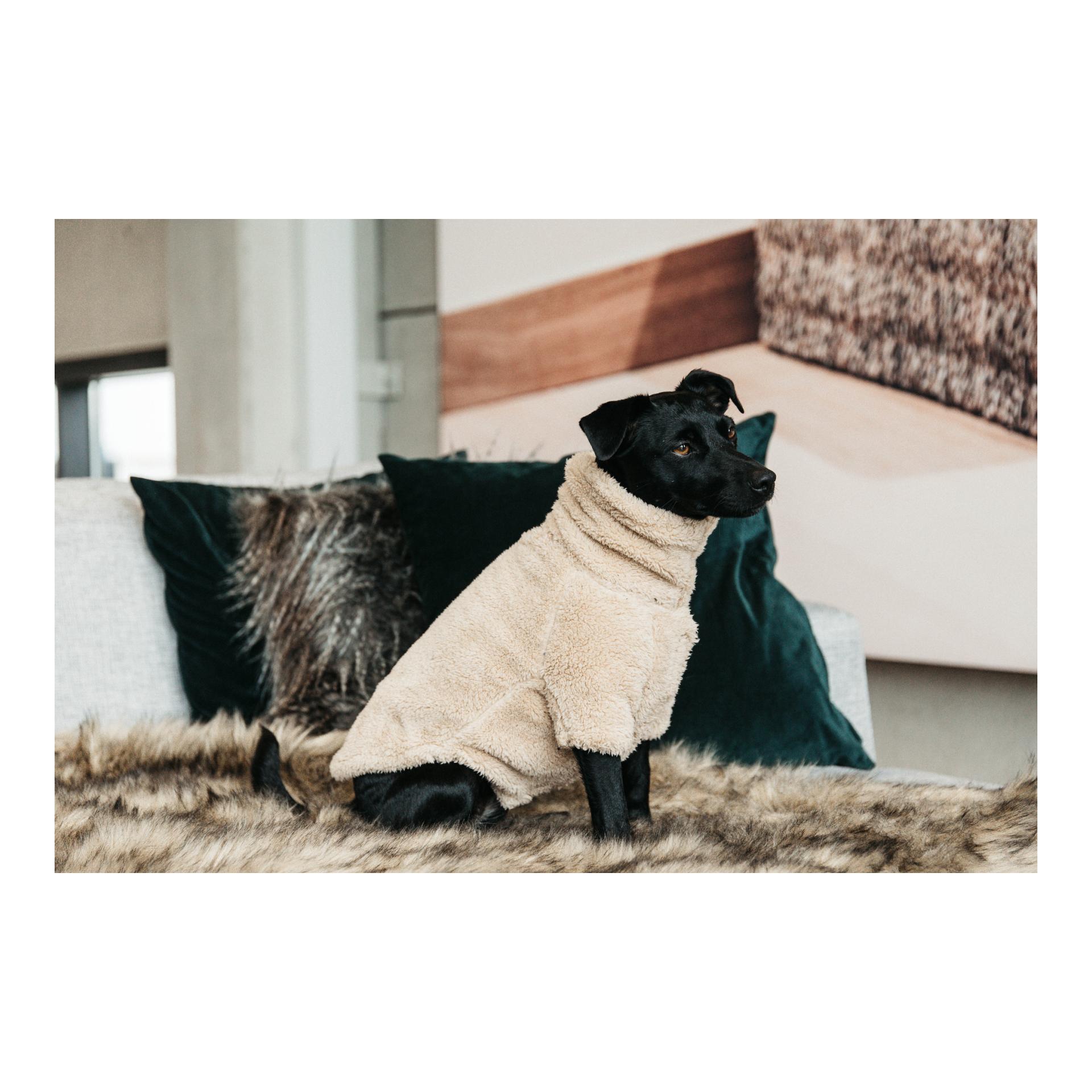 Kentucky Dogwear Pull pour chien Teddy Fleece - beige