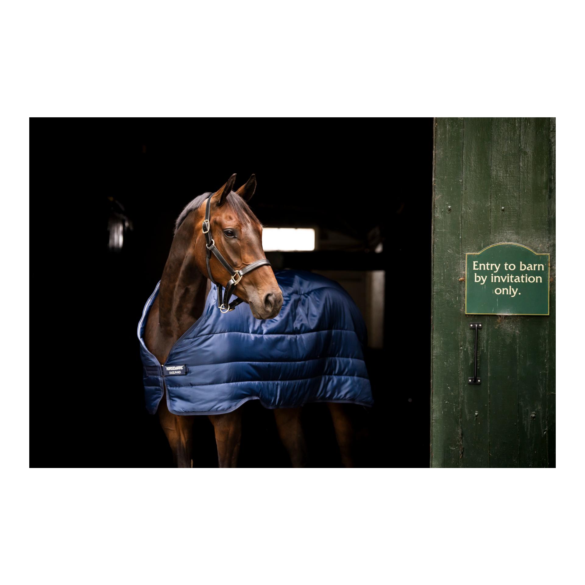 Horseware Horseware Liner 50g