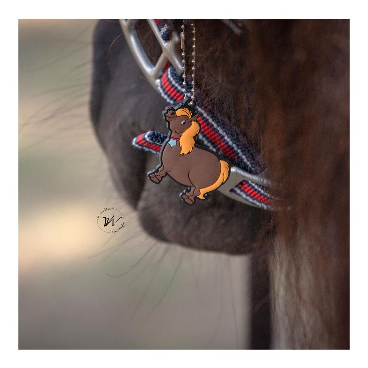 Soulhorse Halfter Dual Alu "Pony Club"