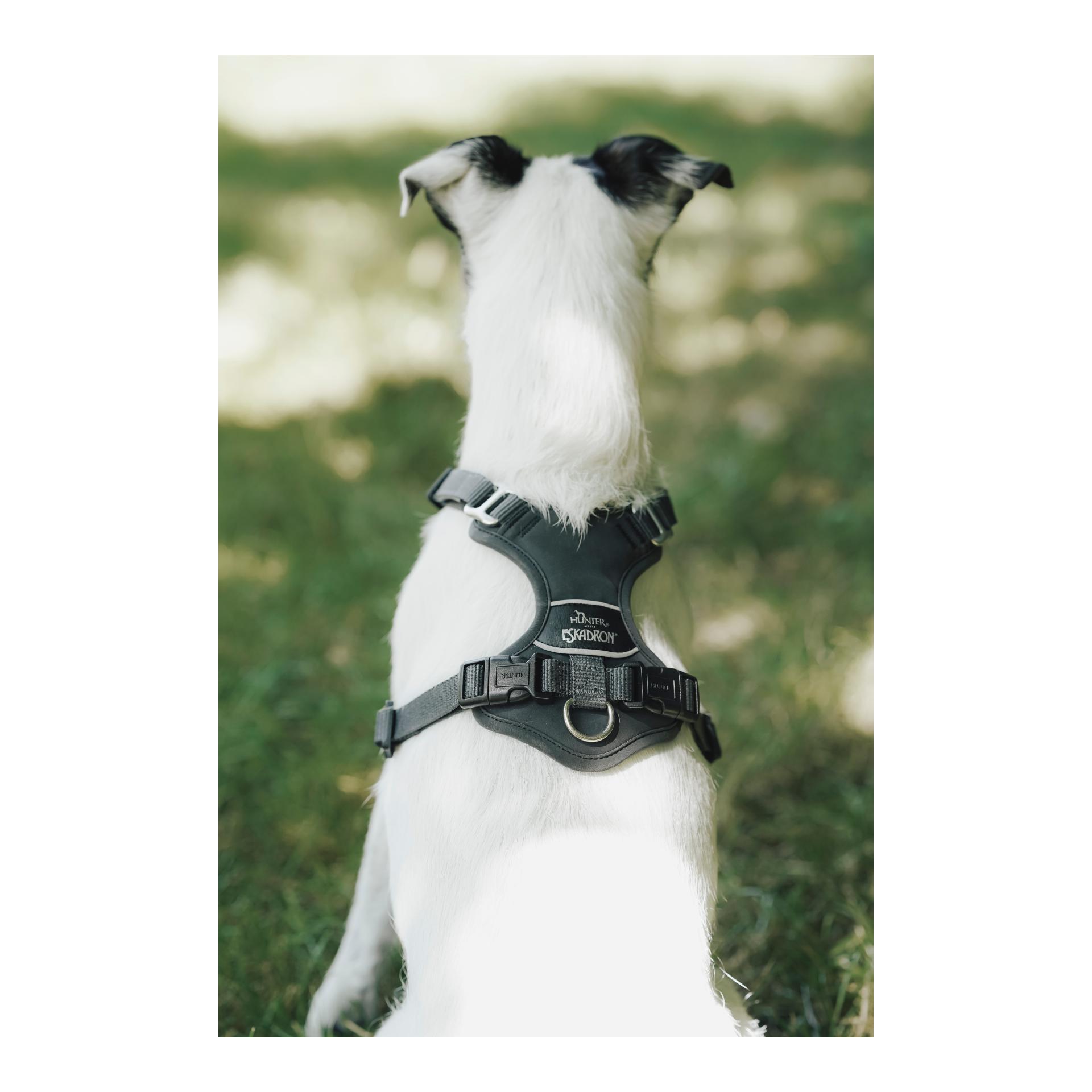 Eskadron Harnais pour chien MOTION REFLECT